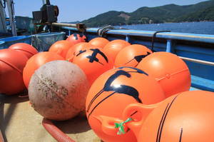 miyagikenishinomakshi 109.jpg